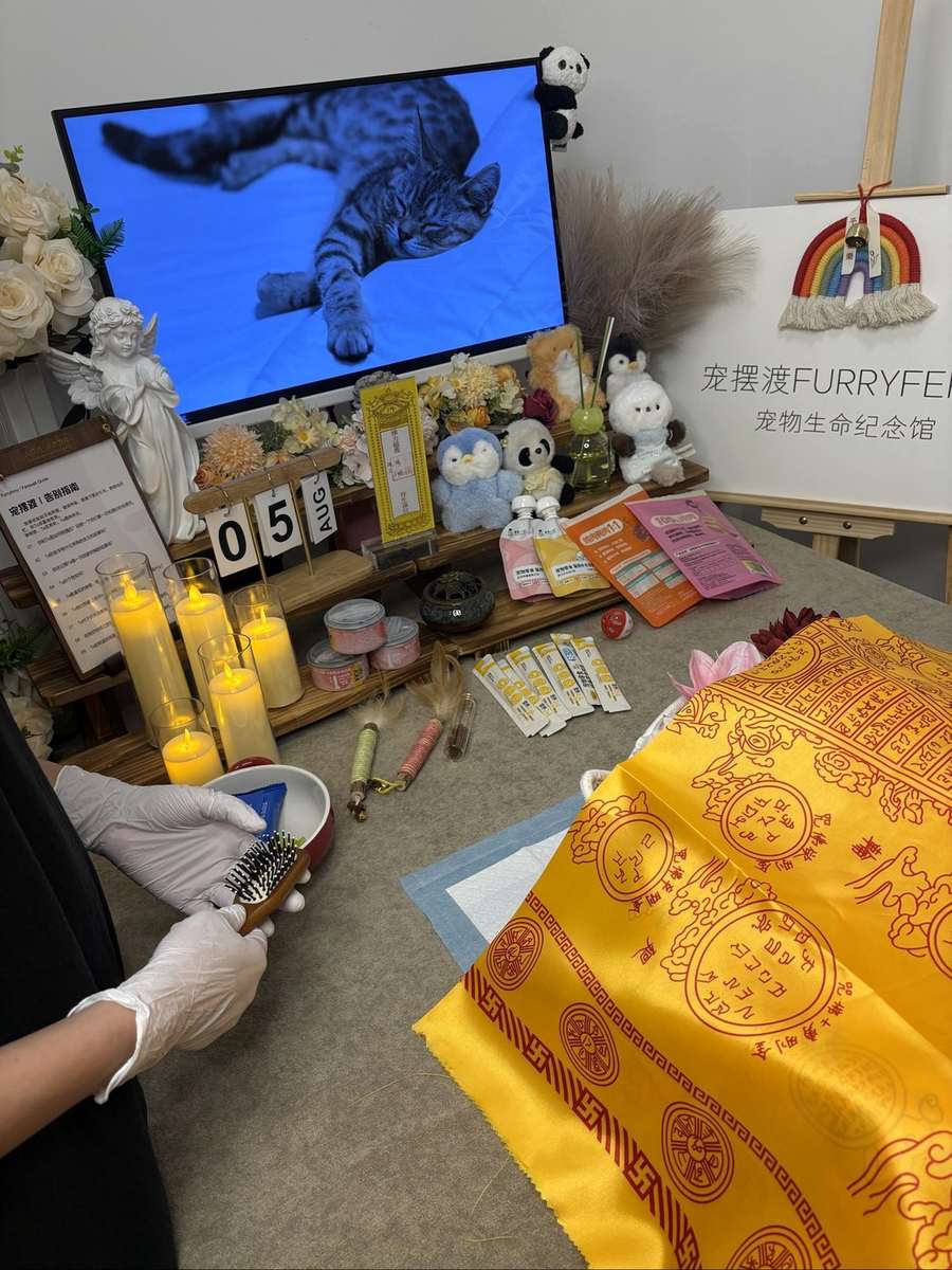 重庆宠物殡葬告别厅实景