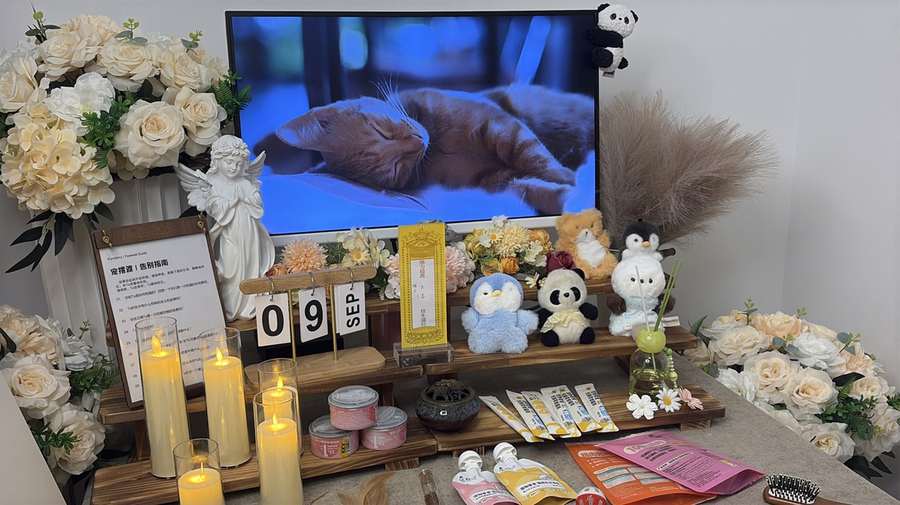 重庆宠物单独火化